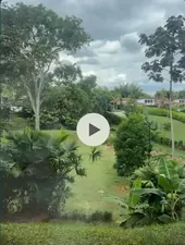 Video del jardín del conjunto